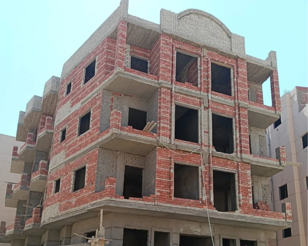 Newcairo-Newnargis-c175-sep
